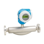 Endres+Hauser Flowmeter Proline 300 Manuel utilisateur