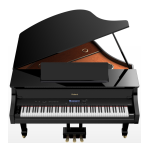 Roland V Piano: Guide d'utilisation + IA