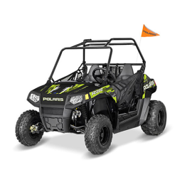 RZR 170 EFI