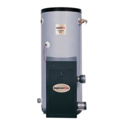 Rheem HE55-100 Commercial Gas Water Heater spécification | Fixfr