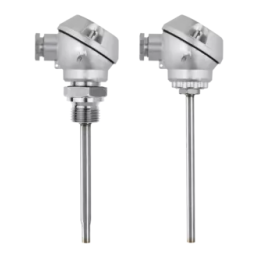 JUMO 902455 Screw-In RTD Temperature Probe Fiche technique | Fixfr