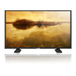 Philips BDL4251V Moniteur ACL : Chat IA et PDF