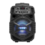 Denver TSP-110 8&rdquo; Bluetooth trolley speaker Manuel utilisateur