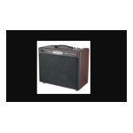 MOOER SD50A Amplificateur Guitare Acoustique + AI Chat &amp; PDF Download