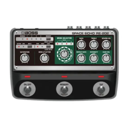 BOSS Space Echo RE-202: Manuel + Chat IA | Fixfr