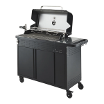 Blooma Easy V11017 Barbecue : Chat IA &amp; PDF