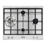 Smeg P1641XTD Manuel d'utilisation | AI Chat &amp; PDF