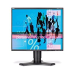 NEC MultiSync&reg; LCD1990FXp Manuel utilisateur