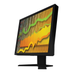 Eizo FLEXSCAN S1902 Manuel utilisateur