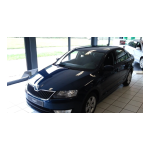 SKODA Rapid (2015/05) Manuel utilisateur