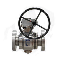 Raimondi Ball Valves, Trunn Mount, Full Weld, Model 5600, IOM Manuel du propriétaire | Fixfr