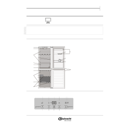 Bauknecht KGLF 18 A3+ IN Manuel utilisateur | Fixfr