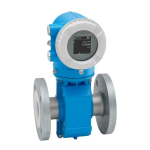 Endres+Hauser Flowmeter Proline 10 Manuel utilisateur