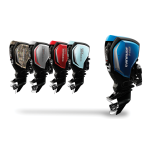Evinrude E-TEC G2 150/175/200: Guide + Chat IA