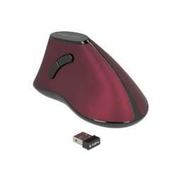 DeLOCK 12598 Ergonomic USB Mouse - wireless Fiche technique | Fixfr