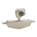 Proline Promass P 300 : mise en service + IA Chat