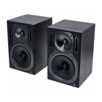 BEHRINGER TRUTH B2031 Notice d'utilisation : AI Chat &amp; PDF