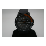 Timex W209 Manuel utilisateur