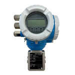 Proline Promag H 300 Manuel: IA Chat &amp; PDF