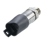 IFM PT703E Pressure transmitter Mode d'emploi