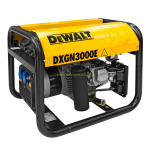 DeWalt PE242SHI011 GENERATOR Manuel utilisateur