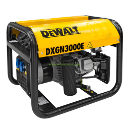 DeWalt PE242SHI011 GENERATOR Manuel utilisateur | Fixfr