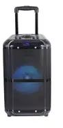 Denver TSP-306NR 8” Bluetooth trolley speaker Manuel utilisateur | Fixfr