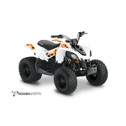 Can-Am Mini DS Series 2020 Manuel du propriétaire | Fixfr