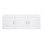 ESW5420GRY/ESW5420SW Module de mur : IA et PDF