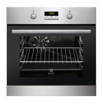 Electrolux EZC2510ACX Manuel utilisateur