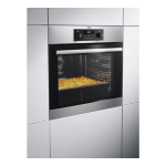 AEG GB3010P Manuel utilisateur