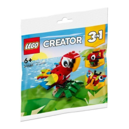 Lego 30581 Manuel utilisateur | Fixfr