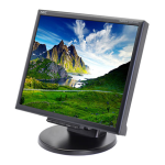 NEC MultiSync&reg; LCD175VXM Manuel utilisateur