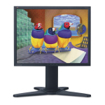 Guide d'utilisation ViewSonic VP2130b | AI Chat &amp; PDF