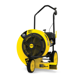 Champion Power Equipment 200938 224cc Walk Behind Leaf Blower Manuel utilisateur | Fixfr