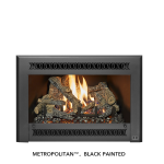 Fireplace Xtrordinair DVS EmberGlo GSR2 Insert (FPX) 2020 Manuel du propri&eacute;taire