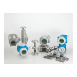 Endres+Hauser Flowmeter Proline 300 Brief Manuel utilisateur