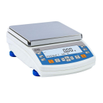 Radwag PS 10100.R2.M Precision Balance User Manual