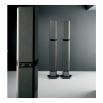 Bang Olufsen BeoLab Penta Manuel utilisateur