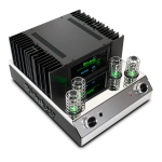 McIntosh MA252 2-Channel Integrated Amplifier Manuel utilisateur