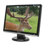 SyncMaster 226CW Manuel d'utilisation | AI Chat &amp; PDF