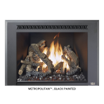 Fireplace Xtrordinair 616 GSR2 Insert (FPX) 2012 Manuel du propri&eacute;taire
