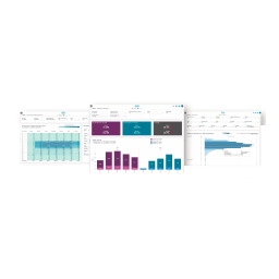 Roche Viewics DX Optimization Mode d'emploi | Fixfr