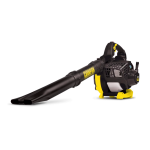 Champion Power Equipment 100734 23cc Handheld Leaf Blower Manuel utilisateur