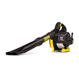 Champion Power Equipment 100734 23cc Handheld Leaf Blower Manuel utilisateur | Fixfr