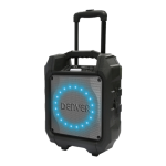 Denver TSP-305 6.5'' Bluetooth trolley speaker Manuel utilisateur