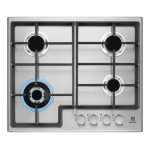 Electrolux EGS6436X Manuel utilisateur