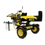 Champion Power Equipment 20-Ton Log Splitter Manuel utilisateur