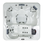 Cal Spas Patio et Plus : Manuel d'utilisation + IA