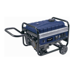 Einhell BT-PG 2800 : Mode d'emploi + IA Chat &amp; PDF